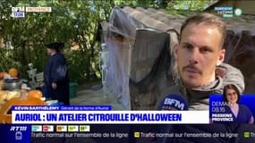 Auriol: un atelier citrouille d'Halloween 