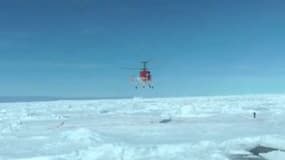 Des images de l'hélicoptère chinois arrivant jeudi matin en Antarctique pour évacuer les passagers du navire russe bloqué depuis le 24 décembre 2013