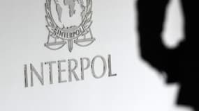 Interpol va créer une nouvelle base de données innovante.