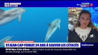 Planète locale du lundi 20 mai - St-Jean-Cap-Ferrat : 34 ans à sauver les cétacés