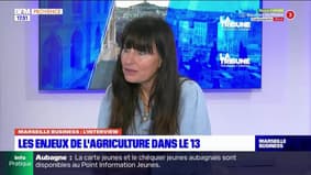 Marseille Business du mardi 28 février - Les enjeux de l'agriculture dans le 13 