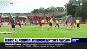 LOSC: les dogues sont au Portugal pour deux matches amicaux