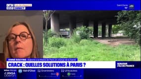 Crack à Paris: l'adjointe à la maire Anne Souyris a écrit une lettre au préfet pour la tenue d'une réunion