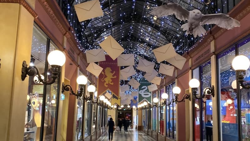 La boutique officielle consacrée à Harry Potter est située dans la galerie du village JouéClub.