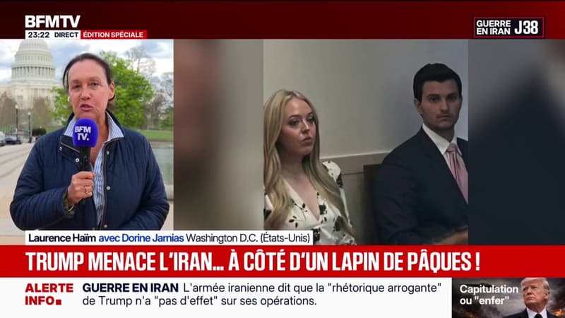 Guerre au Moyen-Orient: le rôle de Michael Boulos, gendre de Donald Trump, dans les consultations concernant le Liban