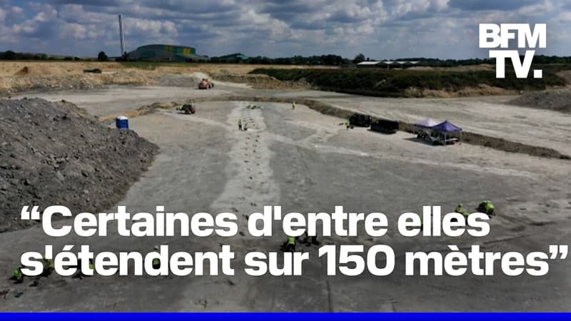 Près de 200 empreintes de dinosaures découvertes au Royaume-Uni