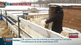 En Russie à la rencontre des pro-Poutine: Oleg et sa petite chèvre prénommée Macron