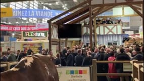Des heurts éclatent au Salon de l'Agriculture à quelques mètres du président 