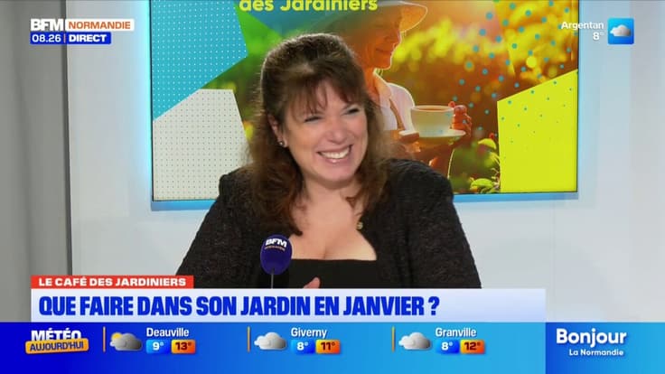 Le Café des Jardiniers: que faire dans son jardin en hiver?