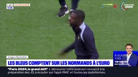 Les Normands de l'équipe de France attendus de pied ferme pour France - Pays-Bas