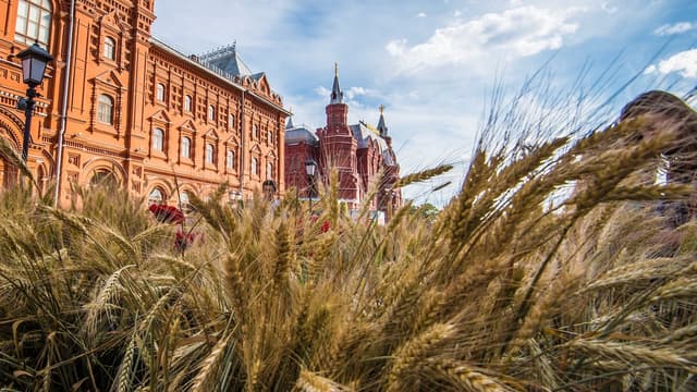 La Russie, premier exportateur mondial de blés, va suspendre ses exportations de blé, seigle, orge et maïs jusqu'au 1er juillet