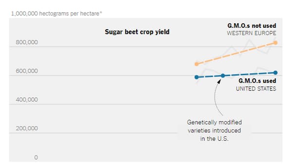 Les rendements de betteraves sucrières en Europe occidentale ont plus augmenté en Europe occidentale ces dix dernières années qu'aux Etats-Unis. 