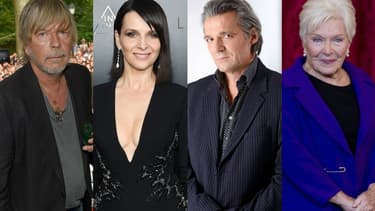 Renaud, Juliette Binoche, Yvan Le Bolloc'h et Line Renaud ont chacun apporté leur soutien publiquement à un des onze candidats de l'élection présidentielle 2017