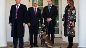 Donald Trump, Mike Pence et Melania Trump avec Conan, le chien qui a participé au raid contre Al-Baghdadi, le 25 novembre 2019.