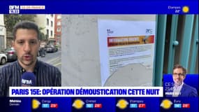 Paris: une opération de démoustication menée cette nuit dans le 15e arrondissement après la détection de cas de dengue