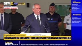 Finances publiques: "un défi de survie de notre pays", pour François Bayrou