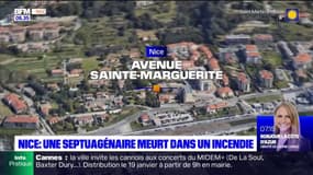 Nice: une septuagénaire meurt dans l'incendie de sa maison