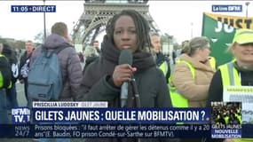 Gilets jaunes: pour Priscillia Ludosky, "le mouvement ne s’essouffle pas"