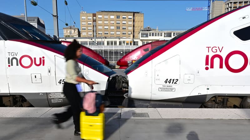 Le TGV Paris-Lille trop cher? Le ministre des Transports vante la concurrence (qui n'existe pas encore)