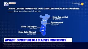 Alsace: quatre classes immersives en Alsacien, Français et Allemand vont ouvrir à la rentrée