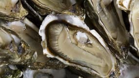 Les huîtres et les coquillages d'une partie du bassin d'Arcachon ont été déclarées impropres à la consommation. L'interdiction fait suite à celle portant sur les moules de l'ensemble du bassin décidée vendredi. /Photo d'archives/REUTERS/Olivier Pon