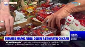 Bouches-du-Rhône: les syndicats de producteurs en colère contre les tomates marocaines