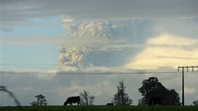Colonne de fumée et cendres au dessus du volcan Puyehue, près de la ville chilienne d'Osorno. Une chaîne volcanique au Chili est entrée samedi en éruption, créant un nuage de cendres qui a touché également le nord de la Patagonie argentine. Les autorités