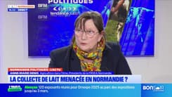 Normandie: la collecte de lait menacée dans la région? 