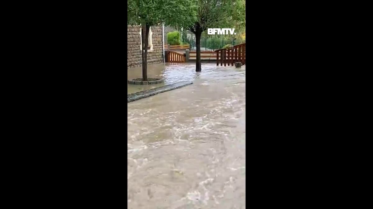 placeholder video