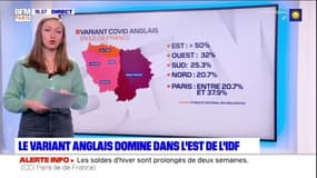 Ile-de-France: le variant anglais du Covid-19 domine dans l'Est de la région 