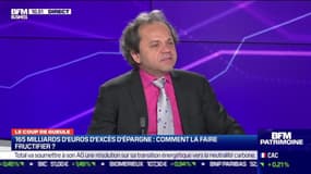 Le coup de gueule de Filliatre : 165 milliards d'euros d'excès d'épargne, comment la faire fructifier ? - 18/03