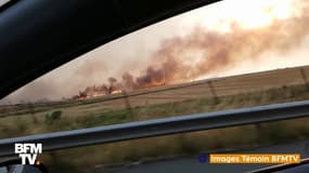 Illustration des incendies survenus ce jeudi dans les champs en Eure-et-Loir