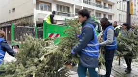 Trois semaines après Noël, de nombreux sapins s'amoncellent sur les trottoirs de Paris. Dans le 17e arrondissement, des volontaires inscrits sur la plateforme de "L'Heure Civique" participent à la collecte.