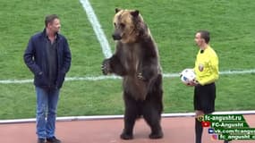 En Russie, un ours a donné le coup d'envoi d'un match de football