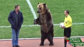 En Russie, un ours a donné le coup d'envoi d'un match de football