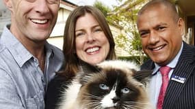 Le chat, les vendeurs et l'agent