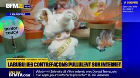 Poupées Labubu: les figurines au cœur d’une arnaque cyber internationale