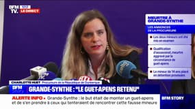 Mort de Philippe à Grande-Synthe: "La qualification d'assassinat a été retenue par le parquet", indique la procureure de la République de Dunkerque