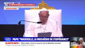Pape François: "La mer Méditerranée est un miroir du monde"