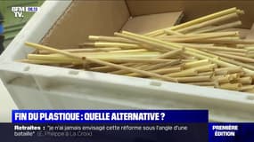 Comment remplacer les objets en plastique à usage unique qui vont bientôt disparaître ?