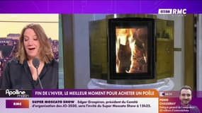 Fin de l'hiver, le meilleur moment pour acheter un poêle