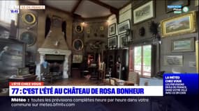 Seine-et-Marne: c'est l'été au château de Rosa Bonheur