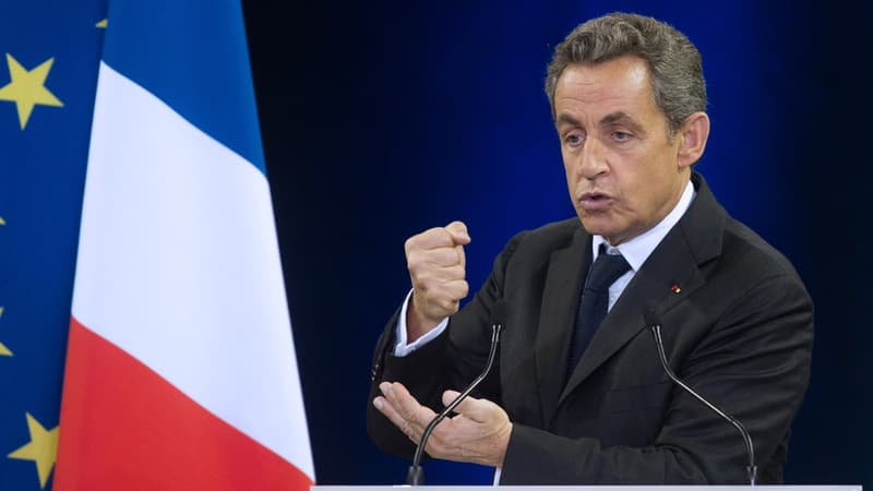 Nicolas Sarkozy, lors de son meeting à Mulhouse, le 19 novembre 2014.