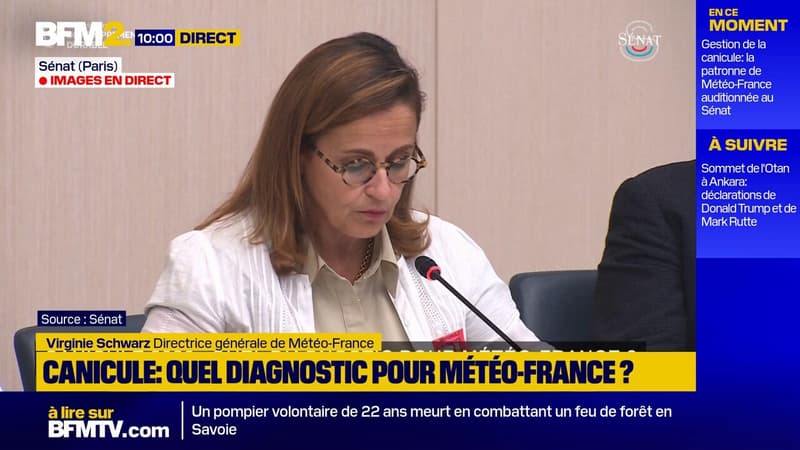 Canicule: "Ce type de vague de chaleur en juin pourrait se reproduire quasiment une année sur deux" d'ici la fin du siècle, déclare la directrice de Météo-France