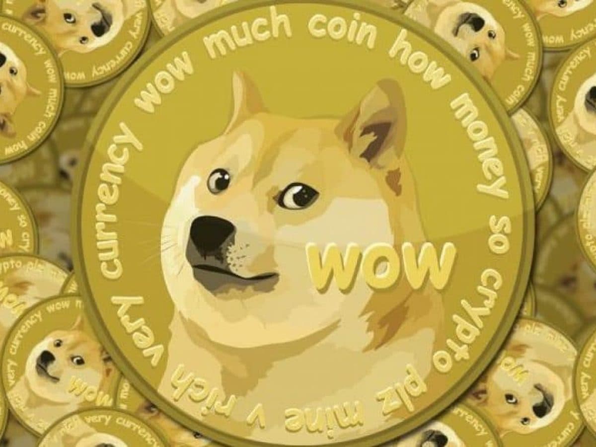 Les investisseurs ont les yeux rivés sur le dogecoin et le shiba