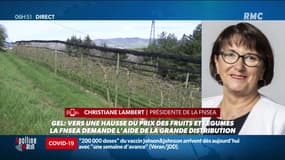 Les derniers coups de froid pourraient avoir un impact sur le prix des fruits et légumes cet été