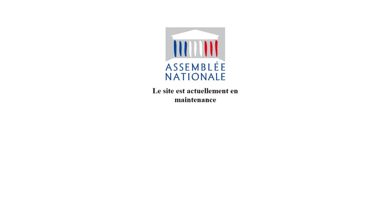 Le site de l'Assemblée nationale victime d'une attaque de hackers pro-russes.