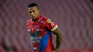 Elton Jantjies sous le maillot des Lions 