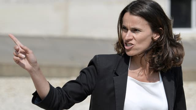 Aurélie Filippetti s'en est pris au géant américain Amazon.