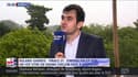 Florent Serra : "Simona Halep : n°1 mondiale sans titre du Grand Chelem, ça sonne un peu faux !"